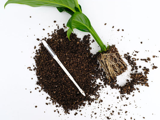 “Can I use on all types of plants?” Your questions answered