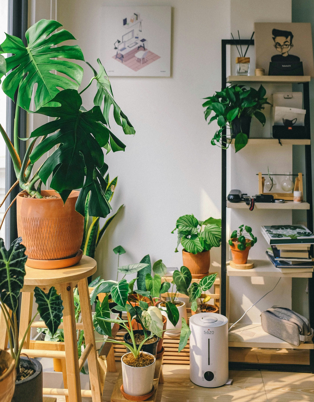 Rethinking How We Water Our Indoor Plants