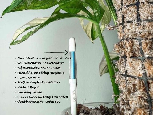 Small  Sustee  Watering  Checker  –      Soil Moisture Sensor for Pots ( 5-7.5cm)