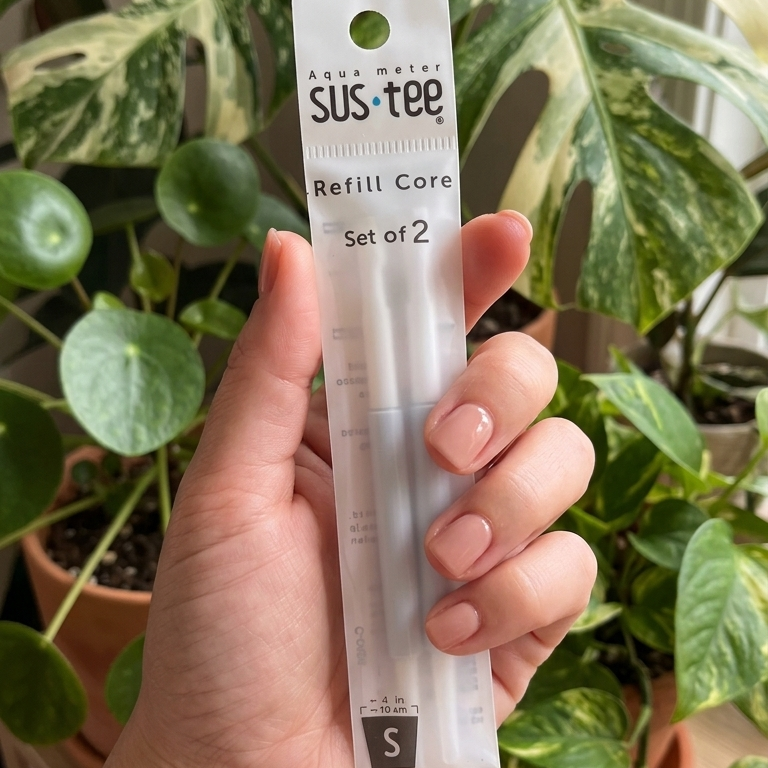 Hand holding a Sustee refill core package with plants in the background