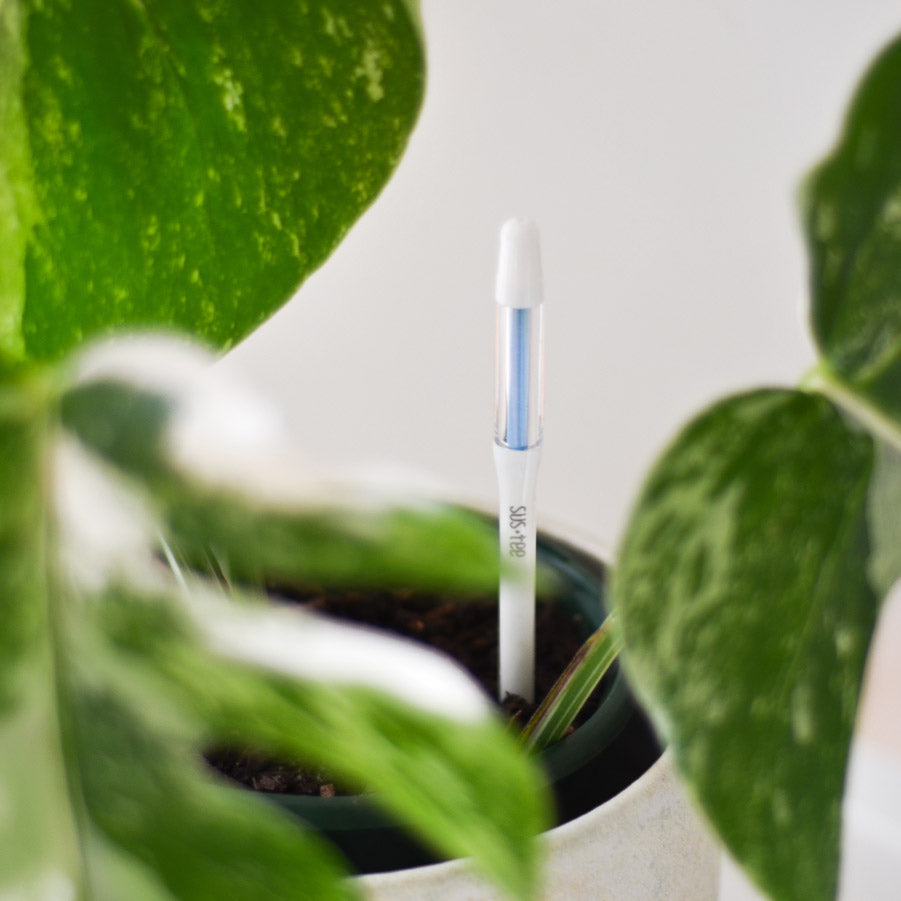 Large Sustee Watering Checker – Soil Moisture Sensor for Large Pots (18cm+)