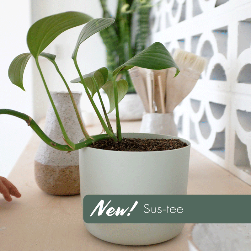 Large Sustee Watering Checker – Soil Moisture Sensor for Large Pots (18cm+)