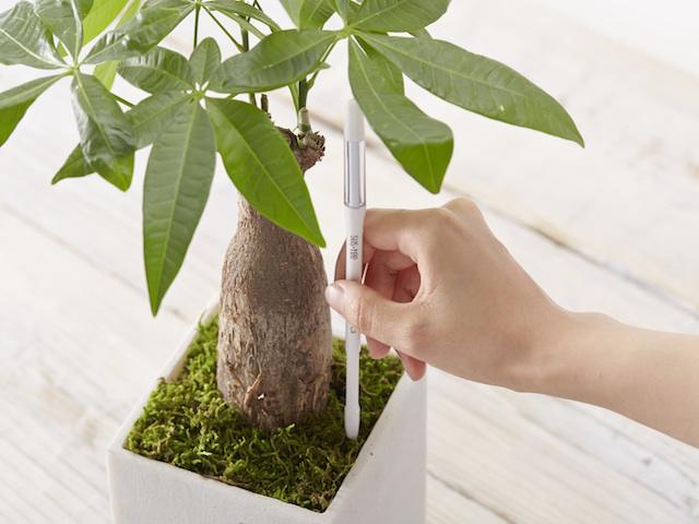 Large Sustee Watering Checker – Soil Moisture Sensor for Large Pots (18cm+)
